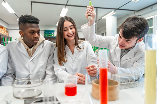 Students working in lab