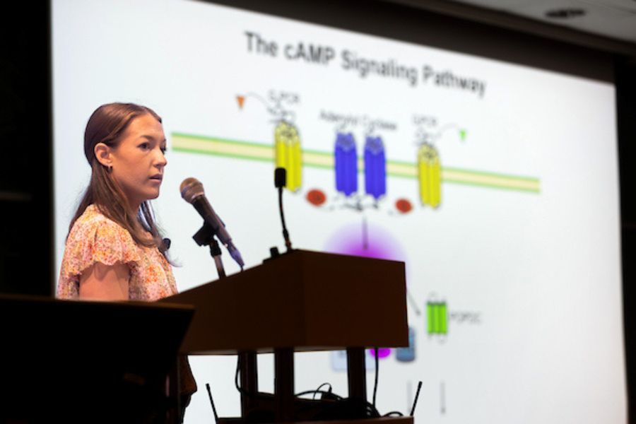 summer research oral presentation