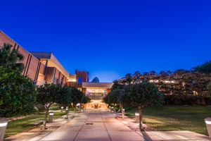 Mitchell College of Business at Night