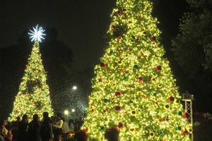Tree Lighting