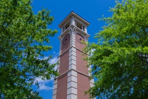 Moulton Tower in the trees.