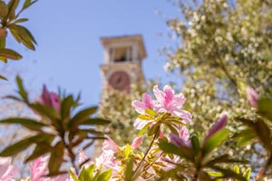 Moulton tower with azaleas in front.