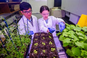 Student working with a faculty member planting in biology.