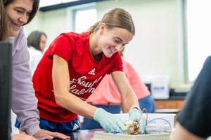 Students dissecting in life sciences lab.