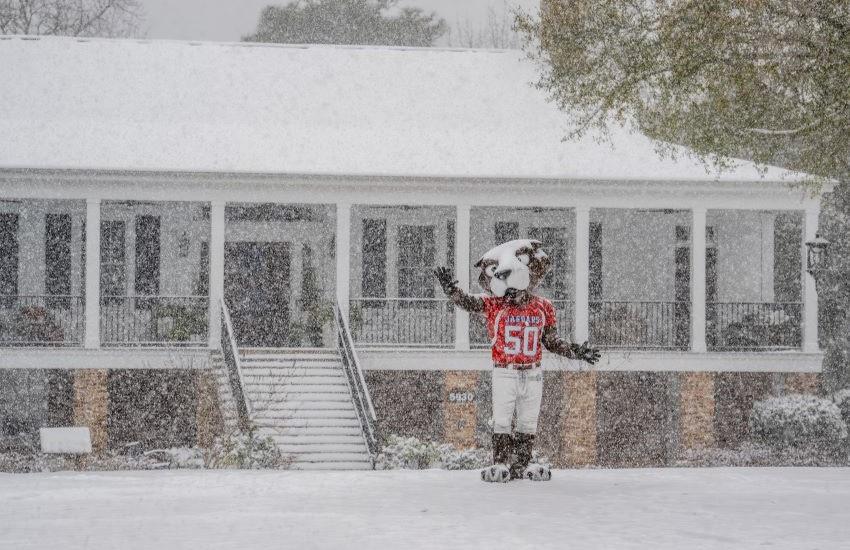 Southpaw statue with snow falling.