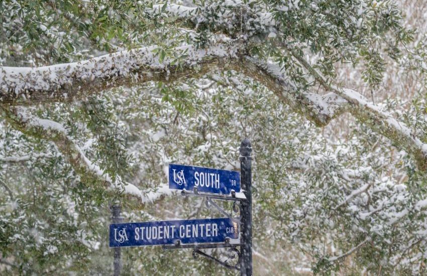 Street signs on campus with snow falling.