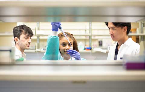 Students in white coats working in lab. One student is holding a dropper.