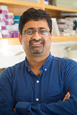 Ajay Singh, Ph.D.