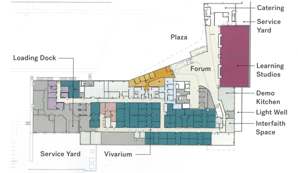 Layout of the first floor of the Whiddon College of Medicine building