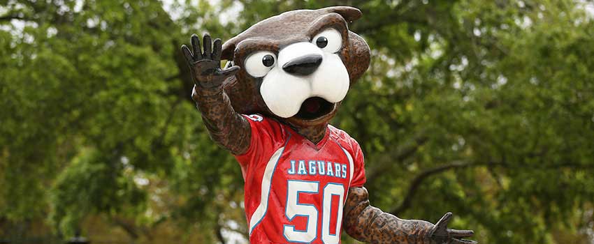 Southpaw statue on campus.