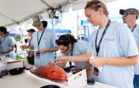 University of South Alabama marine science students take fish samples at the Alabama Deep Sea Fishing Rodeo to study reproductive dynamics and basic life history. 